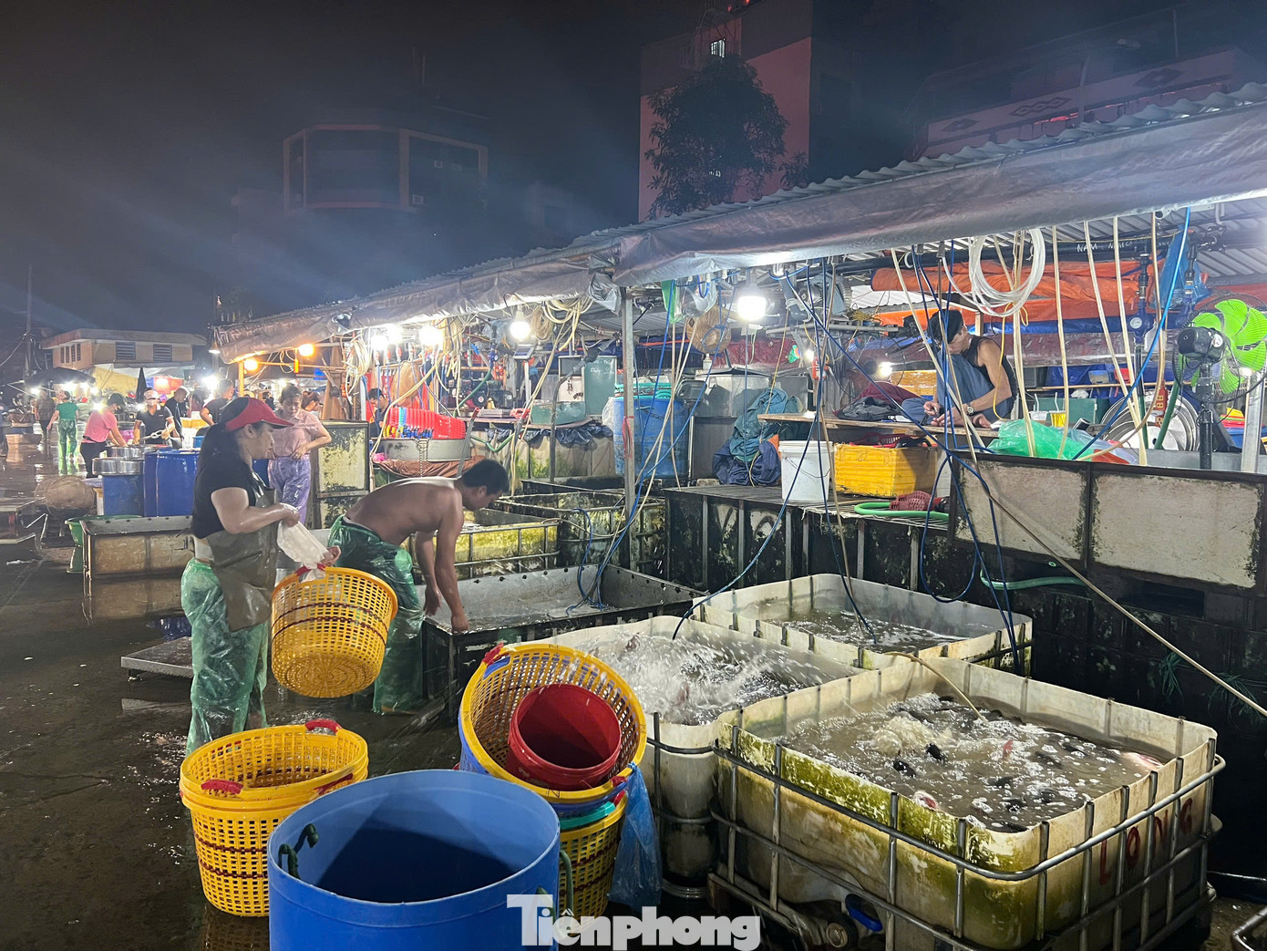 Năm 2015, chợ phát sinh thêm một số vi phạm, công ty cũng đã ghi nhận biên bản gửi về chính quyền địa phương. "Cũng trong năm 2015, các vi phạm như lợp lều buôn bán, dựng cột sắt... đã có giải tỏa nhưng giải tỏa xong họ lại lợp, cứ dần dần như thế", đại diện công ty nêu.