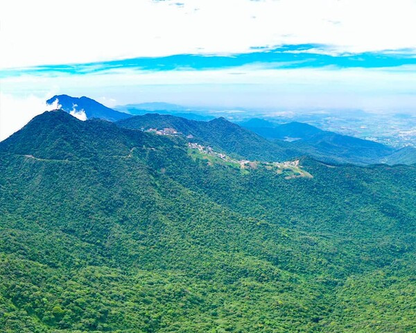 Vườn quốc gia Tam Đảo. Ảnh minh họa.