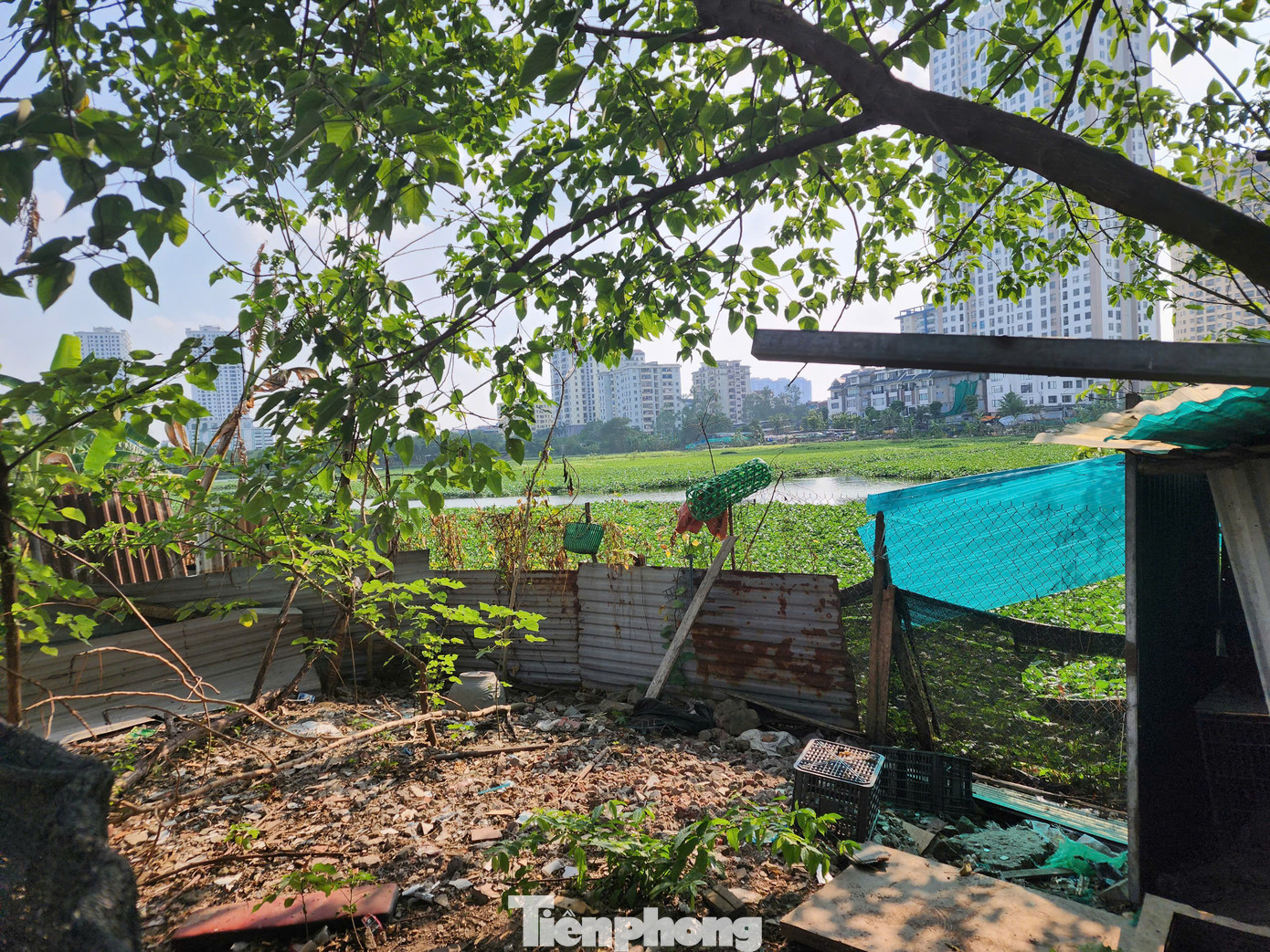 Đại diện UBND phường Định Công cho biết, hồ Đầm Đỗi vốn là đất của hợp tác xã, hợp tác xã giao cho các hộ dân để nuôi trồng thủy sản, trồng rau màu. Tuy nhiên hiện trạng không thể canh tác được nên một số hộ tự ý xây dựng, chuyển đổi. Về việc này UBND phường đã có công văn yêu cầu hợp tác xã cung cấp danh sách các hộ được giao đất nông nghiệp để hướng dẫn chuyển đổi phù hợp.