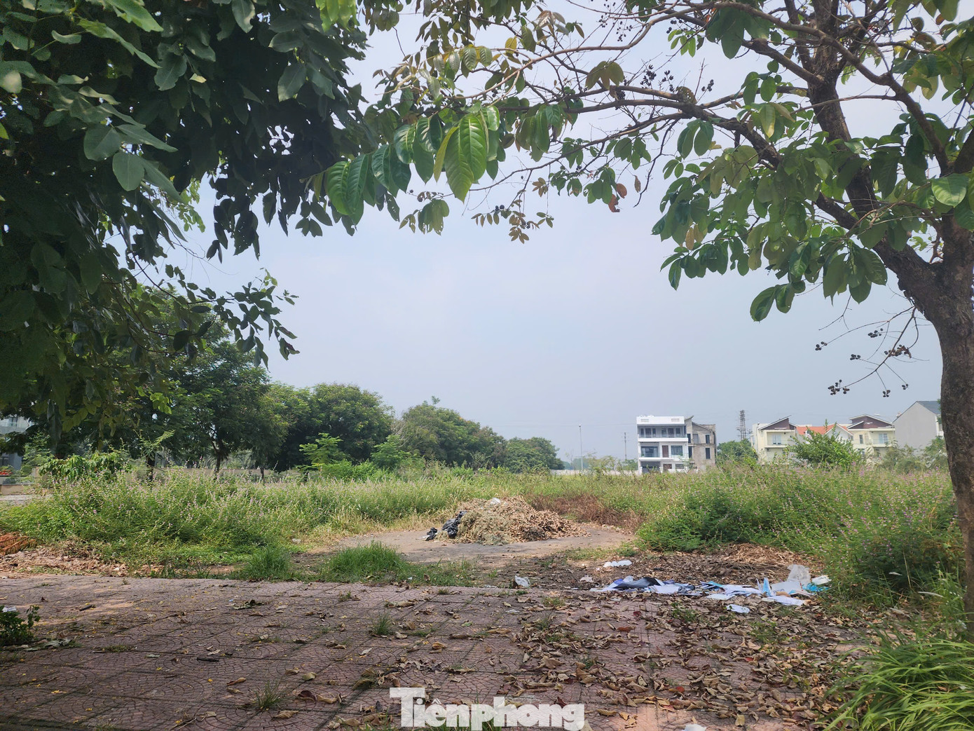 Dự án chậm tiến độ tại Đầm Vạc, thành phố Vĩnh Yên Dự án chậm tiến độ tại Đầm Vạc, thành phố Vĩnh Yên