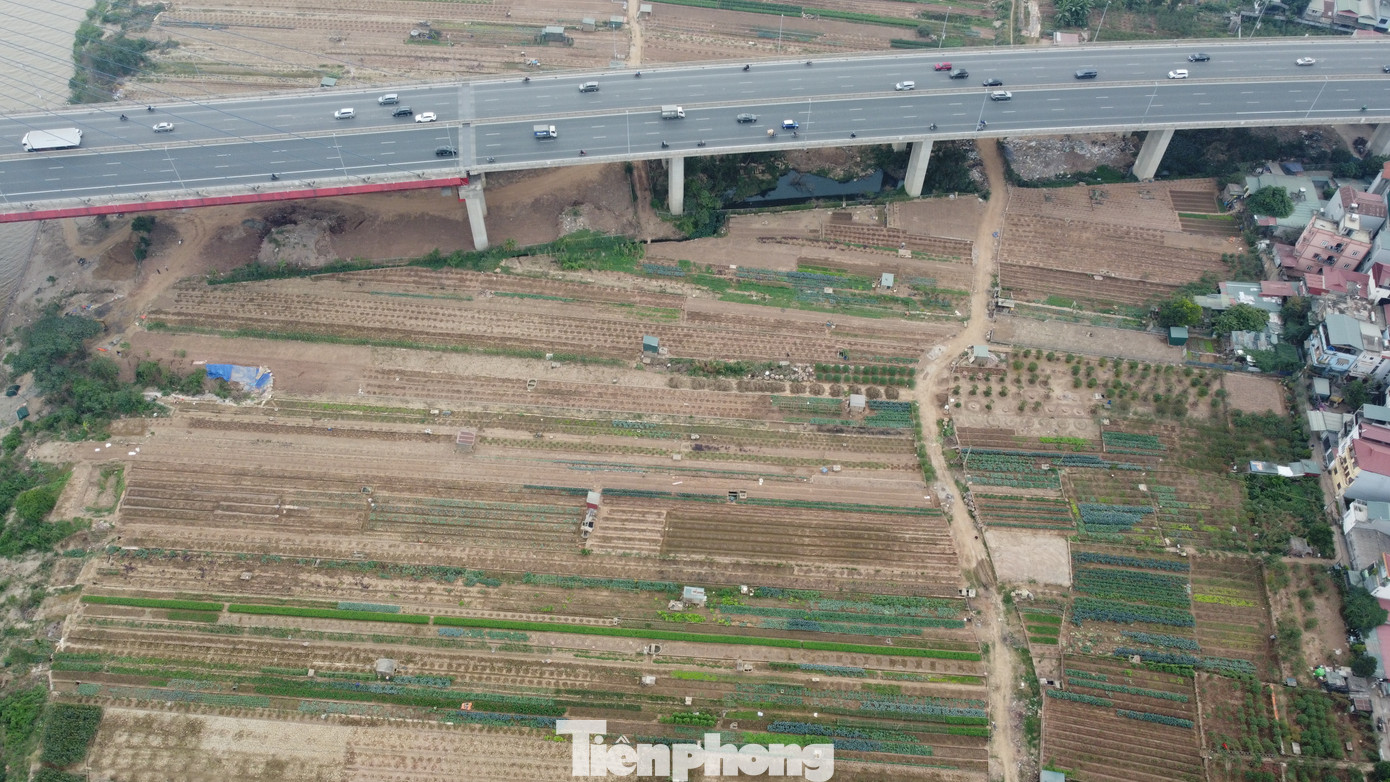 Đây là khu vực bãi bồi, được người dân canh tác hoa màu, cây cảnh.