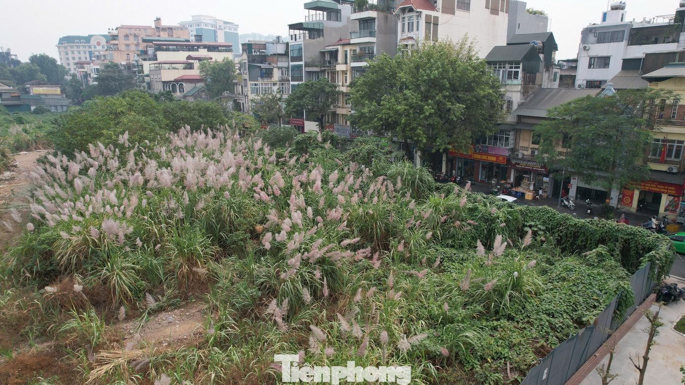 Công ty TNHH Đầu tư kinh doanh và Phát triển đô thị Thiên Bình có trụ sở tại số 94 Lò Đúc, người đại diện pháp luật là ông Đỗ Anh Dũng (góp 99% vốn), thời điểm này ông Đỗ Anh Dũng cũng là Chủ tịch Công ty Cổ phần Tập đoàn Tân Hoàng Minh