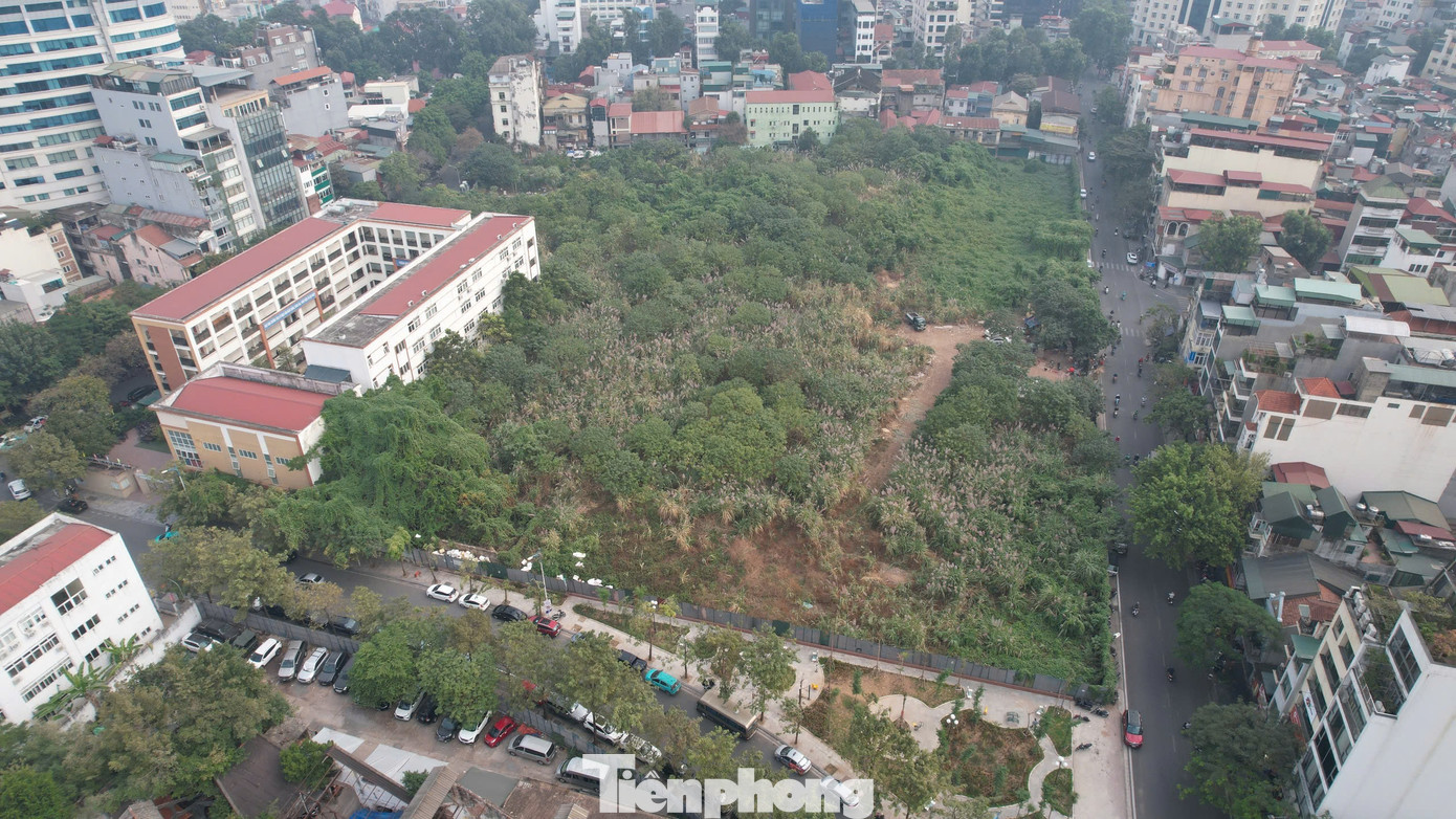Hiện tại một phần khu đất đã được xây trường học, vườn hoa. Phần dự án vẫn bỏ hoang, cỏ dại mọc cao quá đầu người. Theo Chủ tịch UBND TP Hà Nội, Dự án Tổ hợp Văn phòng, khách sạn, trung tâm thương mại, căn hộ để bán tại số 94 Lò Đúc đã kéo dài nhiều năm, đến thời điểm này TP cần tập trung giải quyết, tháo gỡ nhằm chống lãng phí, không gây thiệt hại cho Nhà nước. Chủ tịch UBND TP Hà Nội Trần Sỹ Thanh yêu cầu trong tháng 1/2025 phải xử lý dứt điểm dự án này.