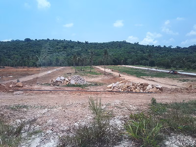'Cò' đất đồng loạt rút khỏi Phú Quốc ảnh 1