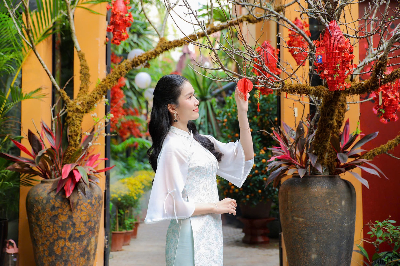 Trong năm 2025, Phương Anh chia sẻ mong muốn được nhận vào chương trình học tiến sĩ. Cô đang làm hồ sơ học tiến sĩ tại Đại học RMIT - nơi cô đang giảng dạy. Trong năm 2024, cô được nhận thêm nhiều lớp. Người đẹp hy vọng tiếp tục nâng cao các kỹ năng giảng dạy và học hỏi từ chính các bạn sinh viên.