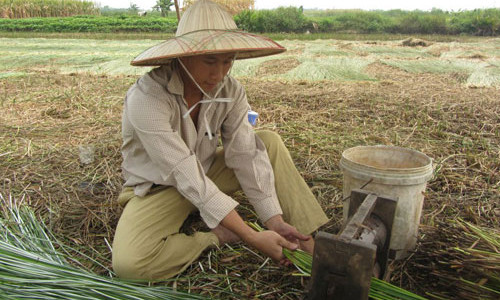 Hùng làm nông dân trong chuyến xuyên Việt vào giữa năm 2012 - Ảnh nhân vật cung cấp