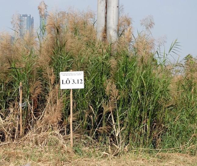 Cả 4 doanh nghiệp trúng đấu giá đất Thủ Thiêm đều bỏ cọc, không thực hiện dự án. Cả 4 doanh nghiệp trúng đấu giá đất Thủ Thiêm đều bỏ cọc, không thực hiện dự án.