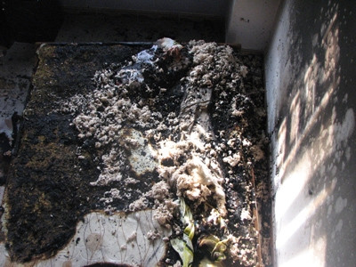 Hiện trường nơi nhà báo Hoàng Hùng bị thiêu