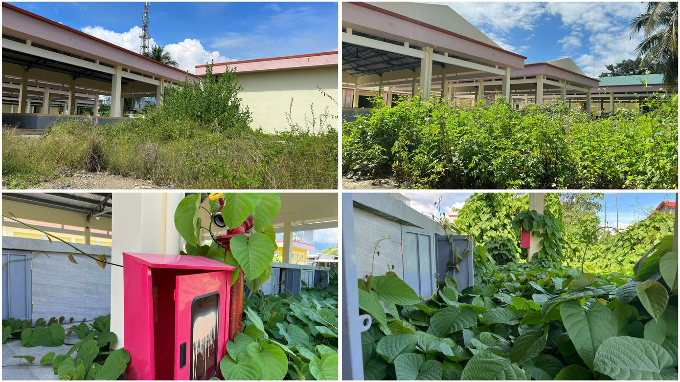 Bao quanh khu vực nhà chính của chợ cây cối mọc um tùm, có lối đi đã bị cỏ che kín.