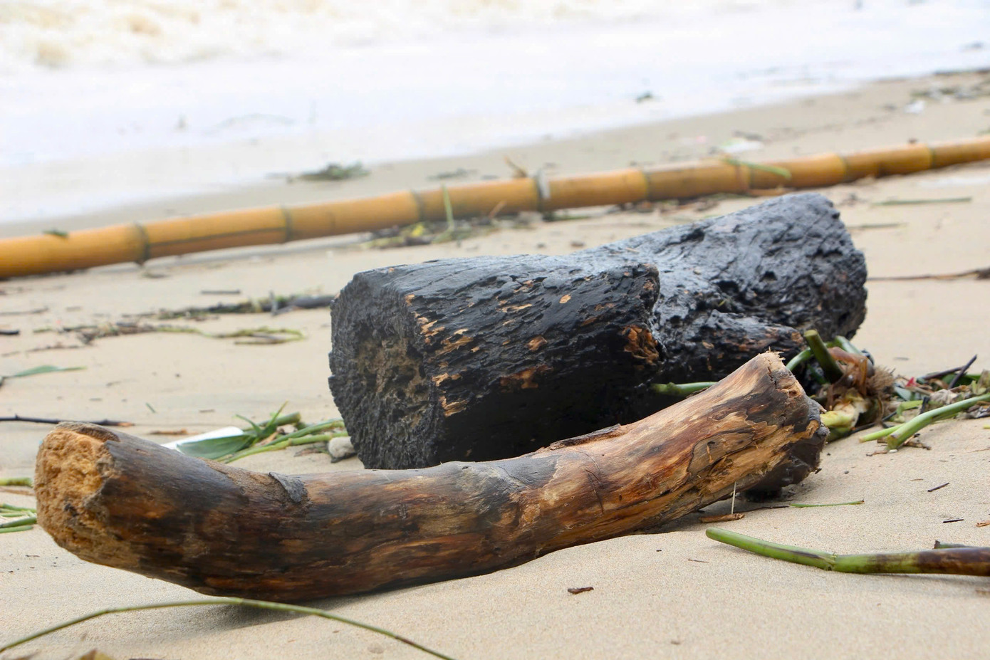 Rác dạt vào tràn ngập bờ biển Nha Trang.