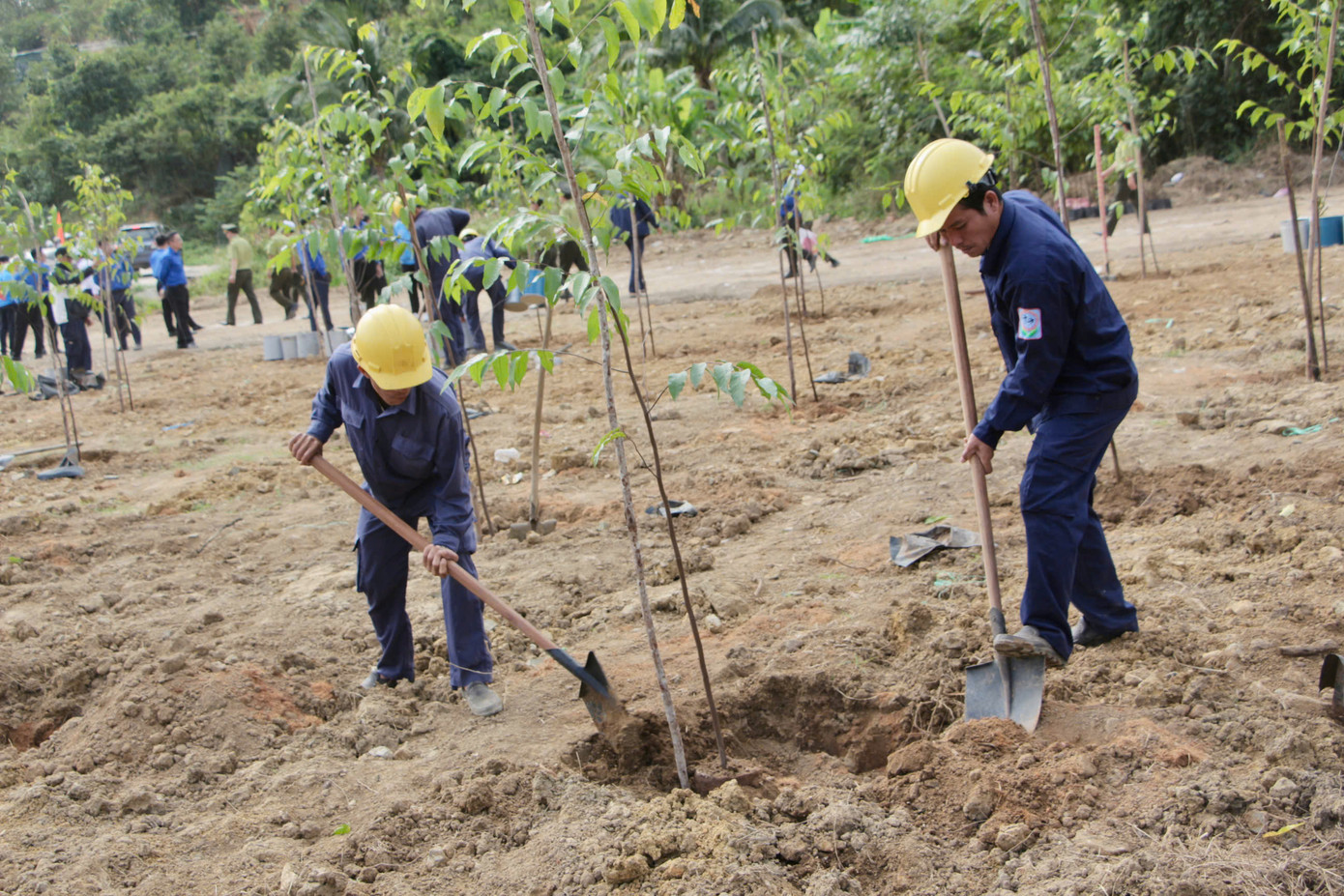 Các đại biểu và đông đảo người dân tham gia trồng cây tại lễ phát động. Các đại biểu và đông đảo người dân tham gia trồng cây tại lễ phát động.