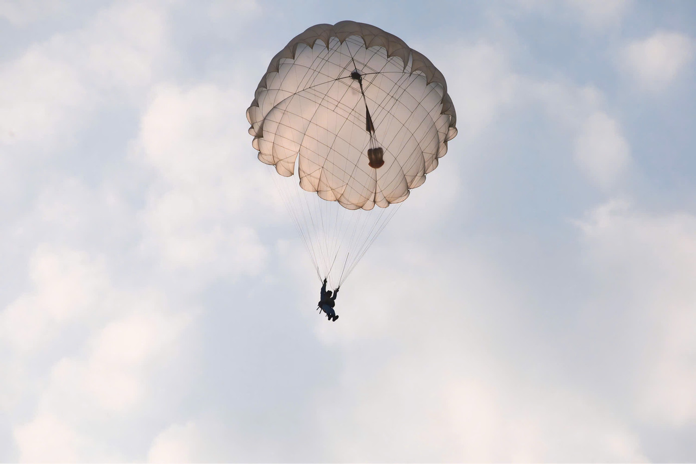 Những cánh dù bung nở tựa như những bông hoa khoe sắc trên bầu trời.