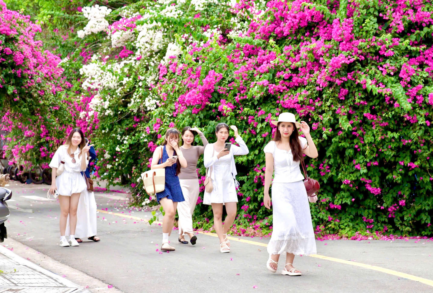 Nhiều người dân và du khách bị cuốn hút trước vẻ đẹp của hoa giấy ở Nha Trang.