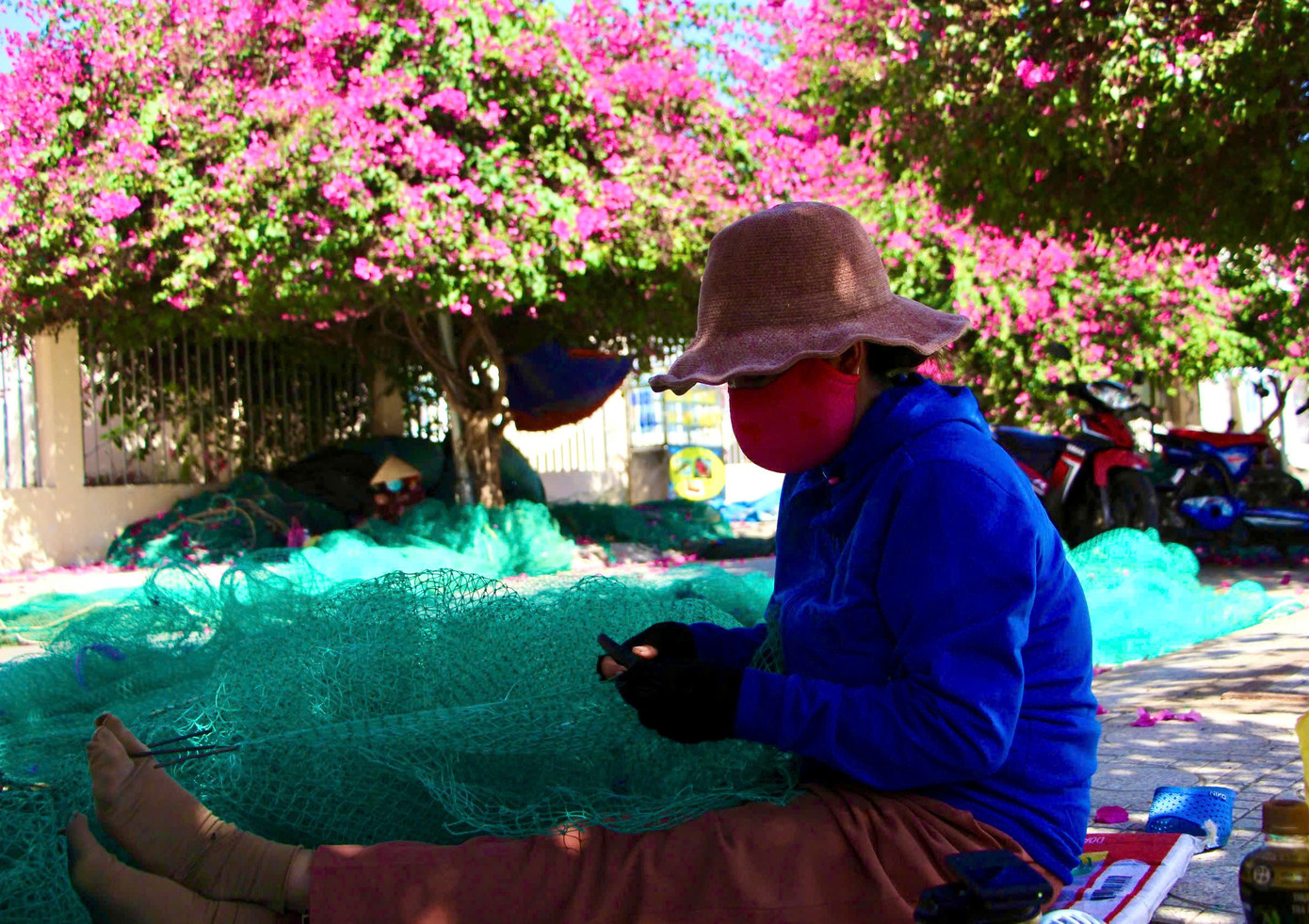 Người dân làng chài ngồi vá lưới dưới những tán hoa giấy rực hồng tạo nên khung cảnh bình yên giữa lòng phố biển sôi động.