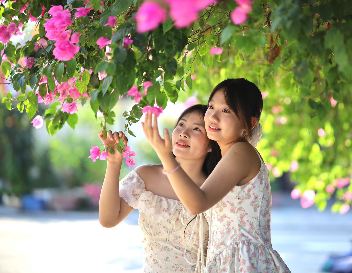 Để có những bức ảnh lung linh nhất, mọi người thường chọn đến đường hoa giấy và chụp ảnh vào sáng sớm hoặc chiều muộn, khi ánh nắng không quá gắt.