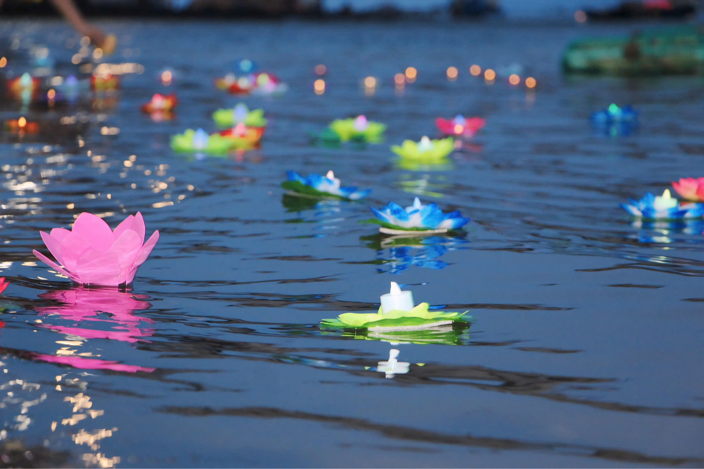 Lễ thả hoa đăng bên bờ sông Cái cạnh Tháp Bà Ponagar thu hút sự quan tâm của nhiều người dân và du khách.