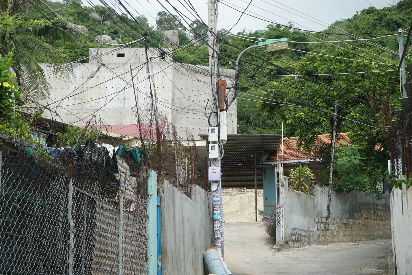 Một nhà nuôi yến ở đường Ngô Đến, phường Vĩnh Phước, TP Nha Trang.