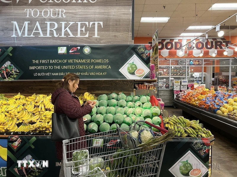 Bưởi da xanh Bến Tre của Việt Nam đã có mặt tại siêu thị ở Hoa Kỳ (3/12/2022). (Ảnh: TTXVN)