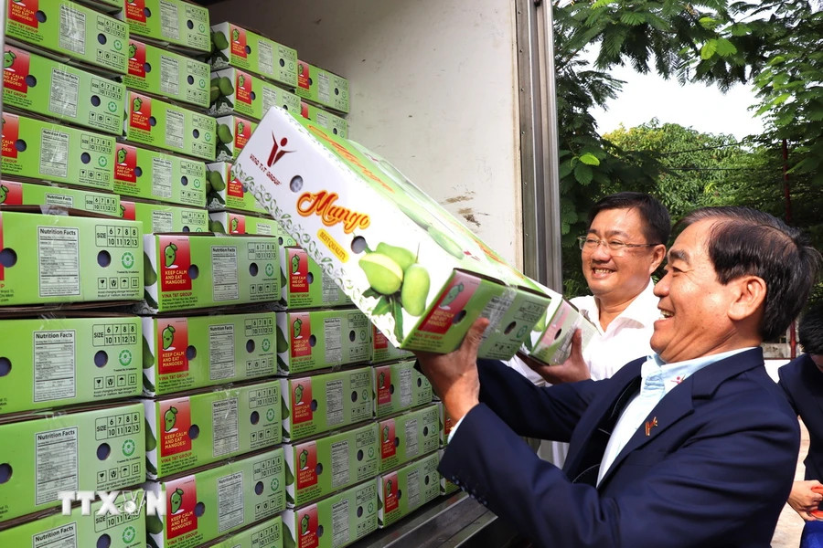 Ủy ban Nhân dân huyện Chợ Mới và Công ty TNHH Thương mại Dịch vụ Xuất nhập khẩu Vina T&amp;T tổ chức lễ công bố xuất khẩu lô xoài tượng xanh đầu tiên của tỉnh An Giang, xuất sang thị trường Australia và Hoa Kỳ (6/1/2024). (Ảnh: Thanh Sang/TTXVN)