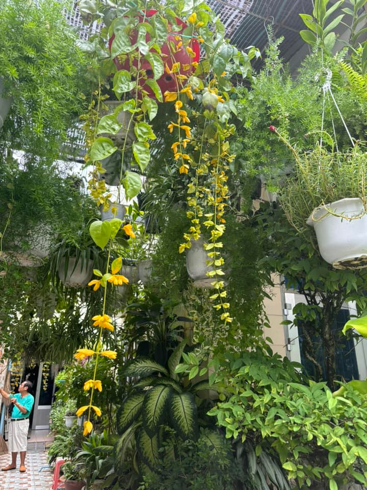 Thanh Thảo tới nhà thăm bố mẹ Vân Quang Long và đến mộ viếng nam ca sĩ. Thanh Thảo tới nhà thăm bố mẹ Vân Quang Long và đến mộ viếng nam ca sĩ.