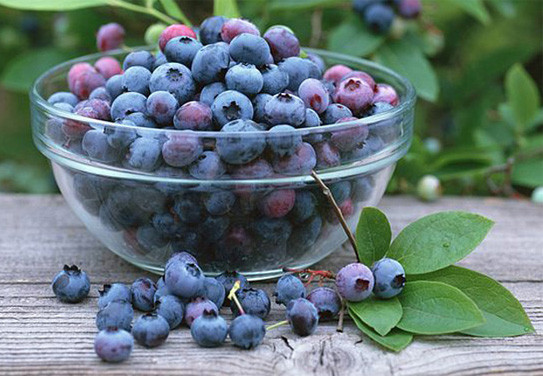 Thực phẩm giúp bạn chẳng bao giờ giảm ham muốn 'yêu' - ảnh 2