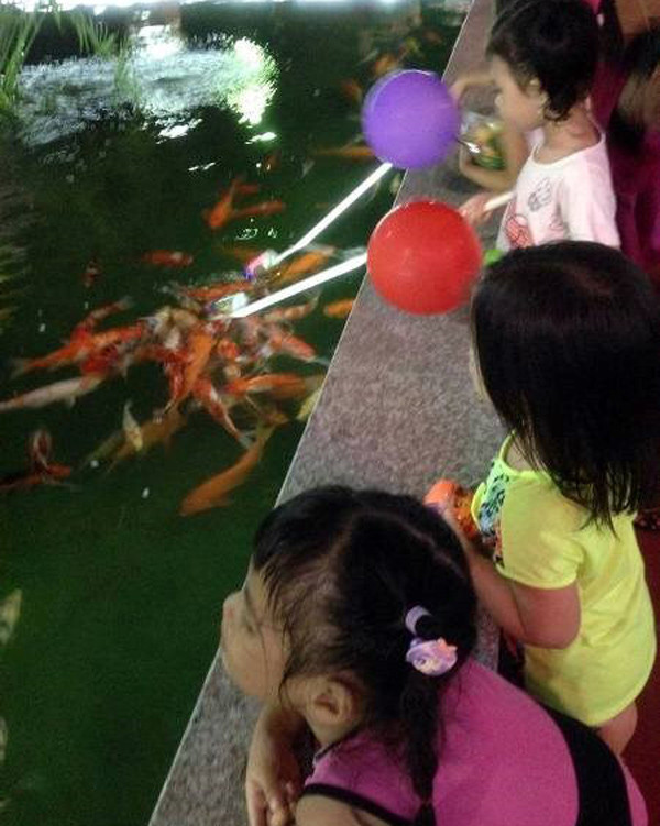 Cá 'bú bình' ngộ nghĩnh xuất hiện ở Việt Nam ảnh 3