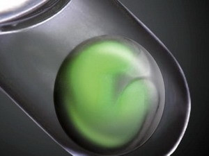 Hố mắt được cấy từ tế bào gốc