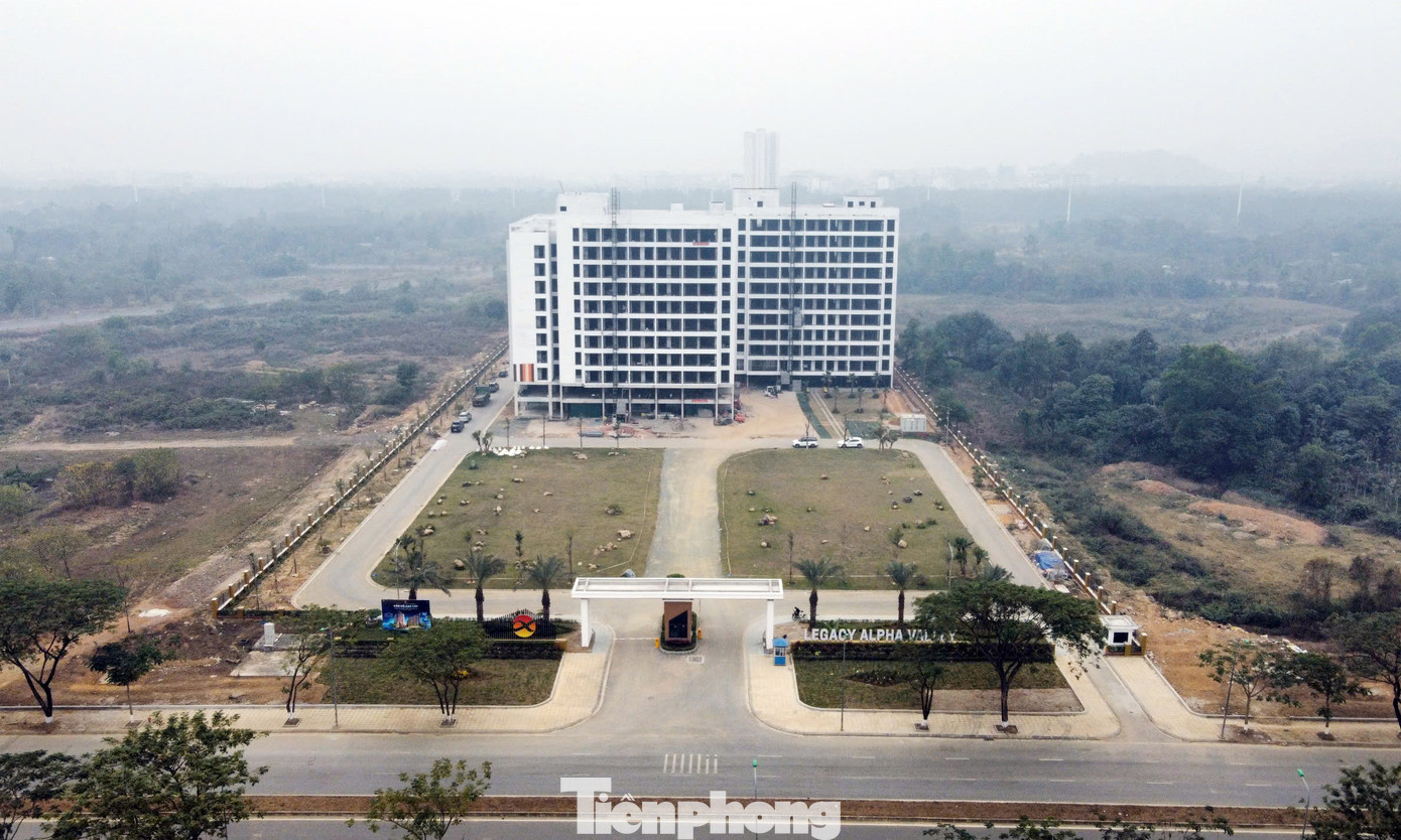 Khu căn hộ Legacy Alpha Valley gồm 3 khối nhà (CT1, CT2, CT3) với khoảng 378 căn hộ cho thuê nằm trong tổng thể dự án đầu tư xây dựng Trung tâm thương mại và dịch vụ do Công ty TNHH Đầu tư và Phát triển FBS 1 làm chủ đầu tư tại Khu công nghệ cao Hòa Lạc (huyện Thạch Thất, Hà Nội).
