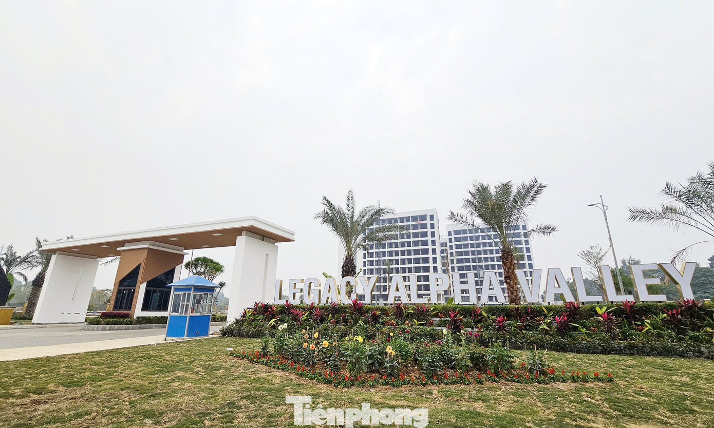 Đây là dự án căn hộ để cho cán bộ, công nhân, chuyên gia làm việc tại Khu công nghệ cao Hòa Lạc thuê, lưu trú trong thời gian làm việc tại đây. Thế nhưng, thời gian qua, một số website, mạng xã hội và môi giới rầm rộ quảng cáo, rao bán khu căn hộ Legacy Alpha Valley tại Khu công nghệ cao Hòa Lạc.
