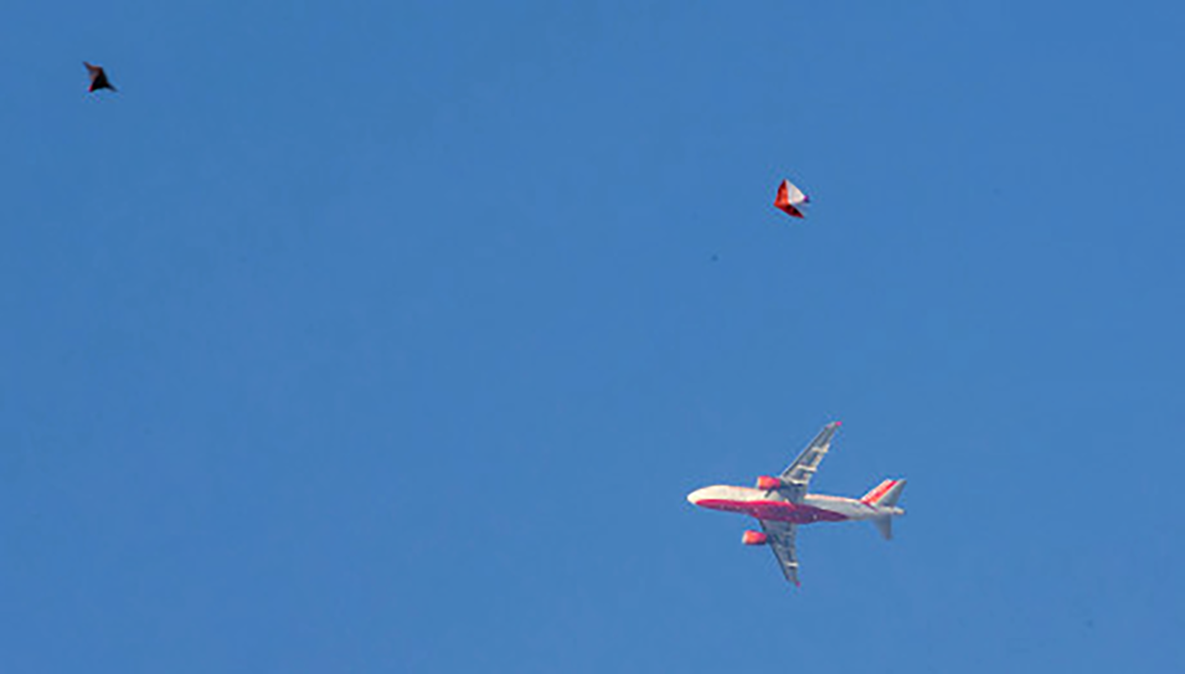 Các hoạt động như thả diều, thả bóng bay gần khu bay gia tăng. Ảnh minh họa: Shutterstock. Các hoạt động như thả diều, thả bóng bay gần khu bay gia tăng. Ảnh minh họa: Shutterstock.