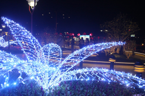 Chào Xuân Giáp Ngọ 2014 ảnh 26