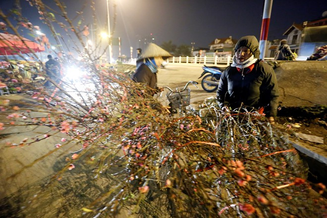 Không ít lần cô Loan phải đạp xe lòng vòng qua mấy con phổ để chở mấy cành đào về nhà vì không ai mua hoặc bị trả giá quá rẻ 