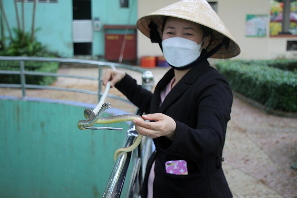 Rắn ráo có ngoại hình thon dài. Loài rắn này không có độc, hiền lành và nhút nhát.