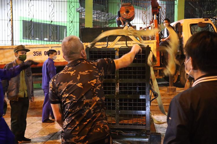 Quá trình đưa hổ xuống xe.