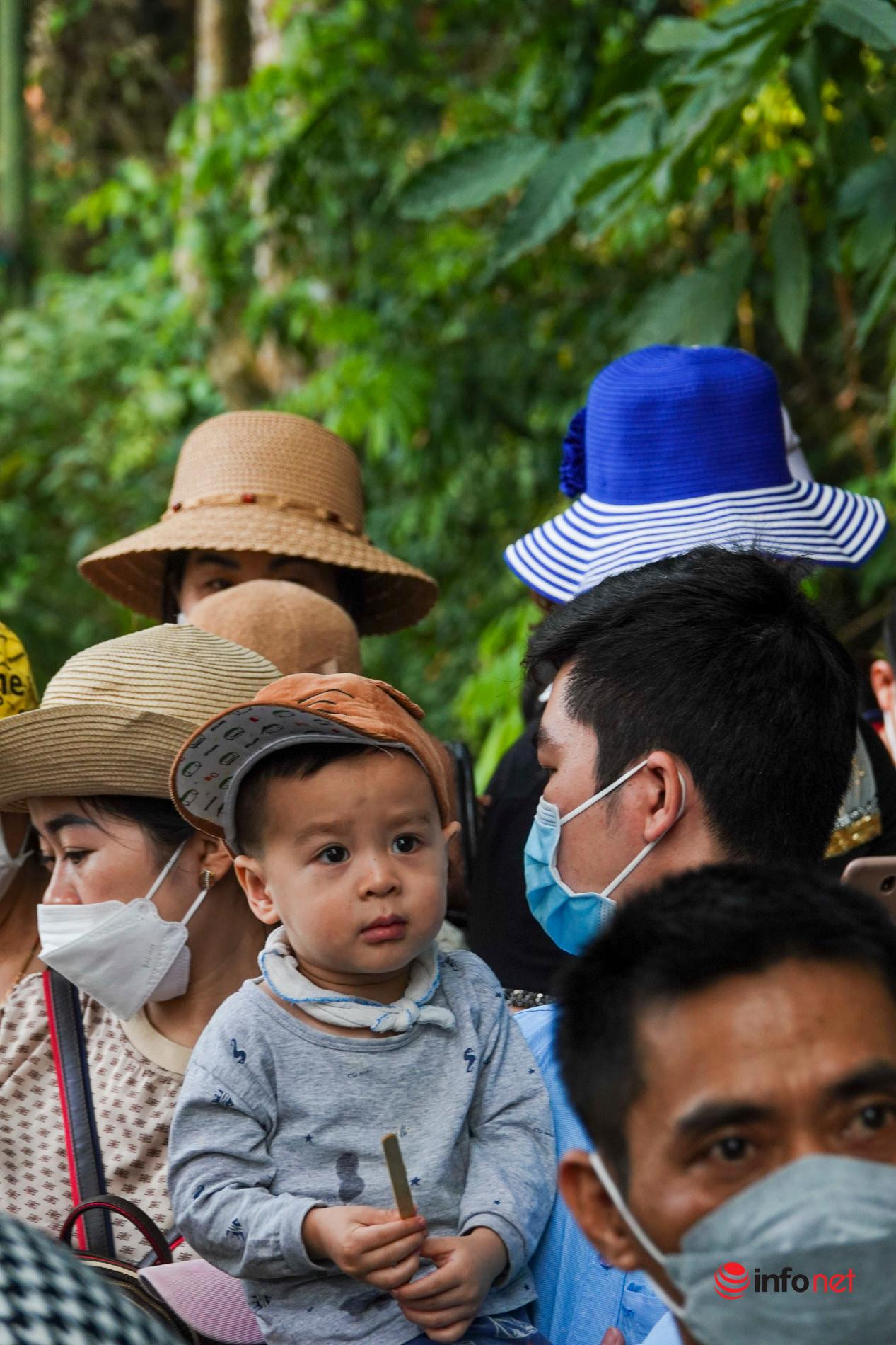 Một số em nhỏ được bố mẹ bế lên để đảm bảo an toàn khi leo núi.