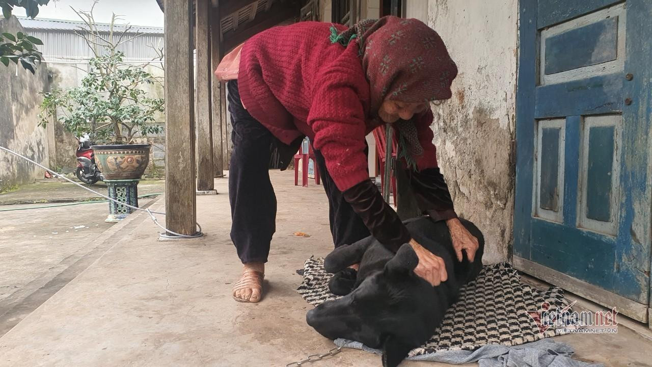 Cụ Họa chơi đùa với con chó mực