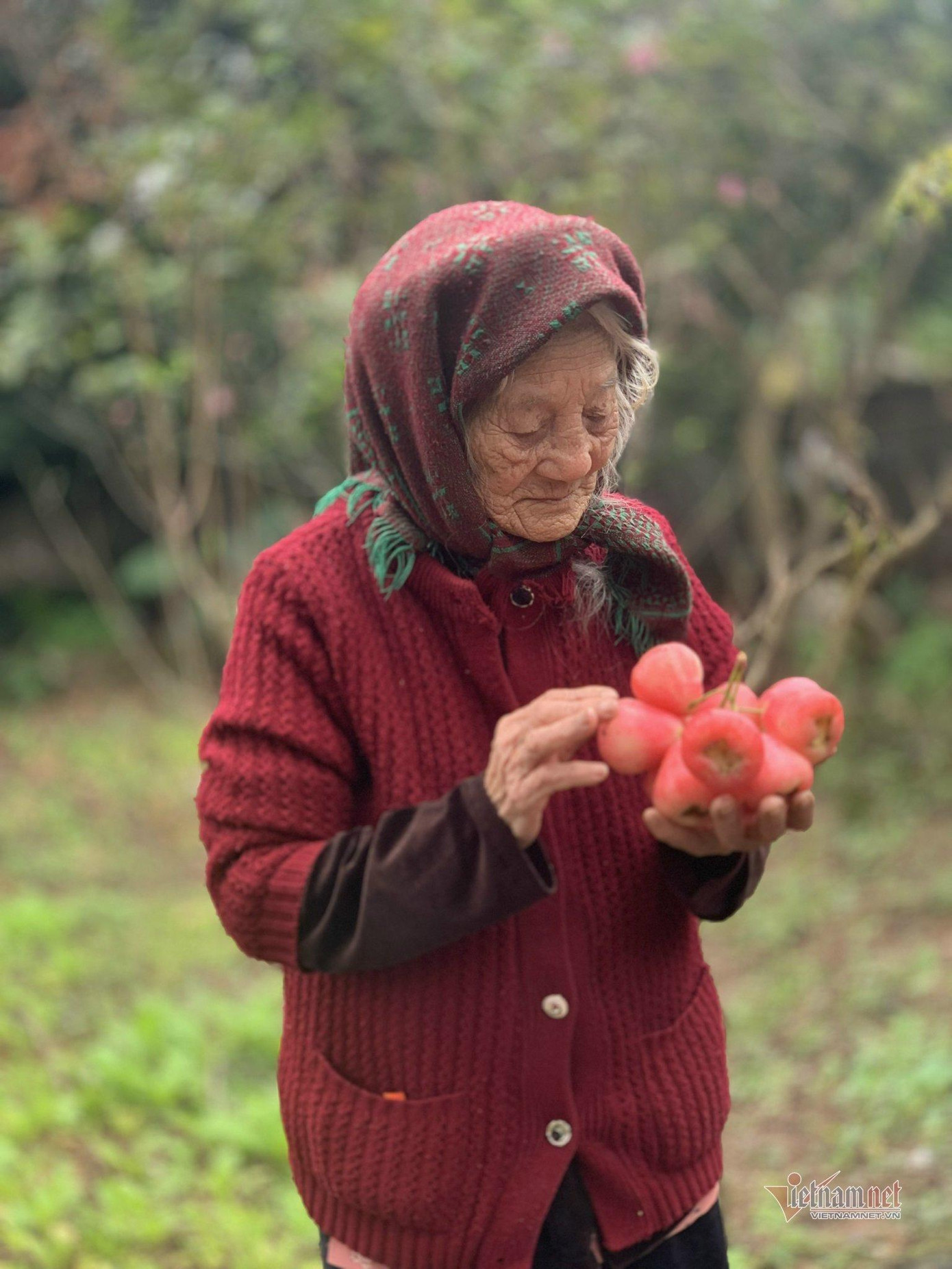 Cụ bà 108 tuổi với gương mặt phúc hậu