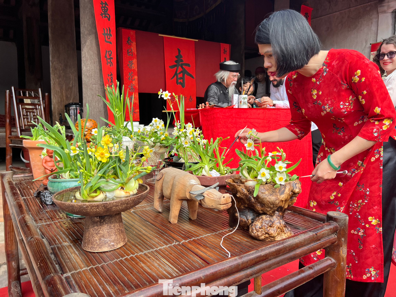 Không gian trải nghiệm thú chơi hoa thủy tiên của người dân phía Bắc.