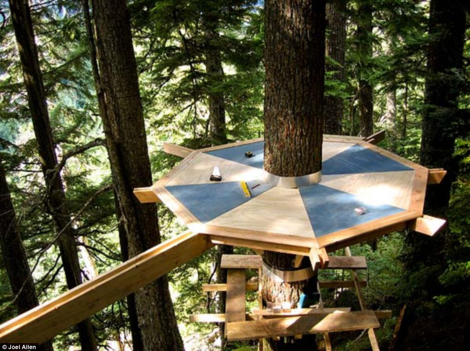 Joel đã mất nhiều năm để xây dựng Treehouse. 