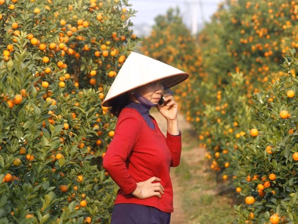 Không khí đón Tết Việt trên báo nước ngoài ảnh 6