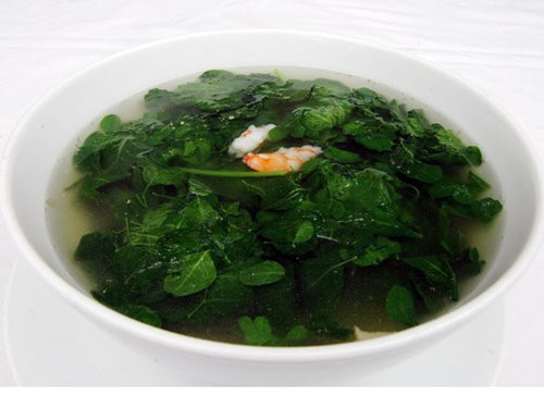 rau chùm ngây, sai lầm, có hại