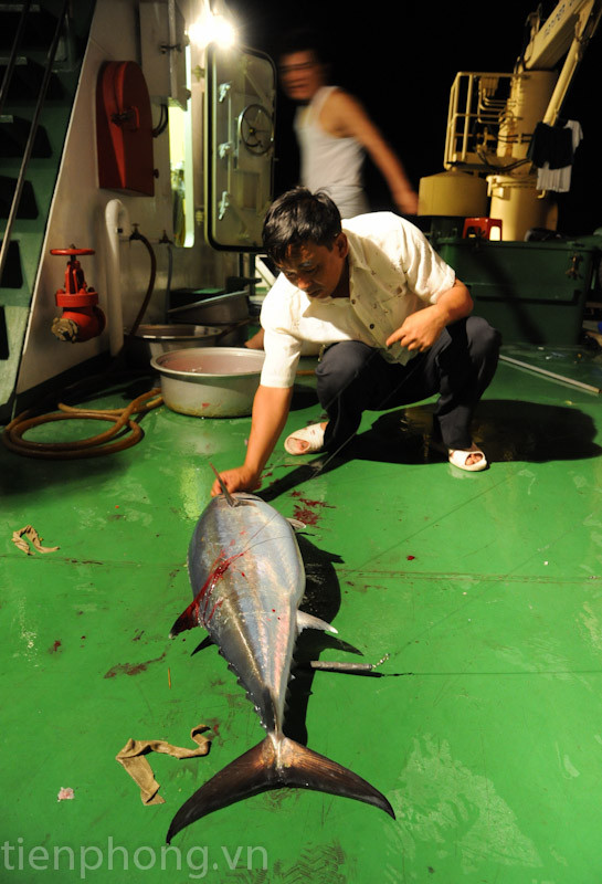 Việc đầu tiên là gỡ lưỡi câu khỏi cá. Việc đầu tiên là gỡ lưỡi câu khỏi cá