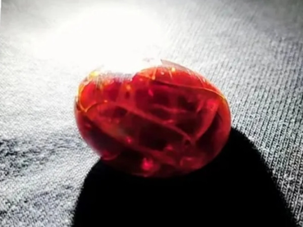 Trông như một món đồ trang trí chứ không giống quả trứng chút nào nữa. Ảnh: The Paper. Trông như một món đồ trang trí chứ không giống quả trứng chút nào nữa. Ảnh: The Paper.