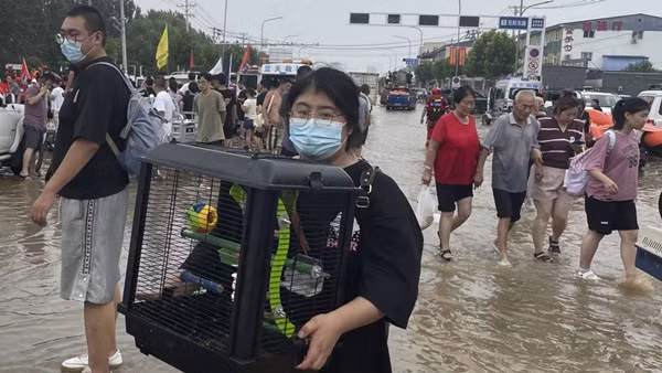 Một cô gái đi sơ tán do ngập lụt ở Trác Châu (tỉnh Hà Bắc, Trung Quốc) hôm 2/8, không quên mang theo cả chú chim cảnh. Ảnh: AP.
