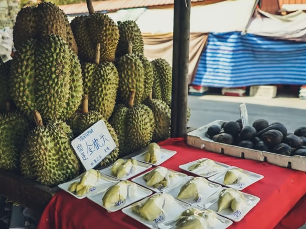 Rất nhiều người Trung Quốc, ở nhiều lứa tuổi, đều thích ăn sầu riêng. Ảnh: Unsplash. Rất nhiều người Trung Quốc, ở nhiều lứa tuổi, đều thích ăn sầu riêng. Ảnh: Unsplash.