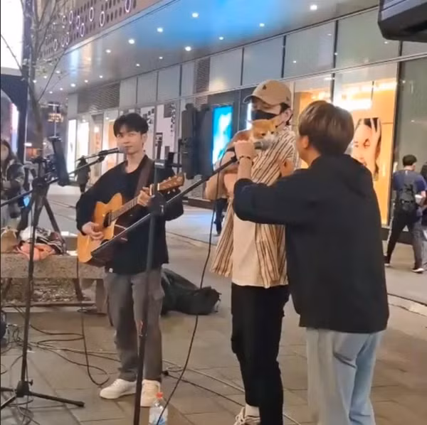 Nhóm nhạc 4 thành viên, bao gồm 3 nam thanh niên và một chú mèo. Ảnh: Maojian.