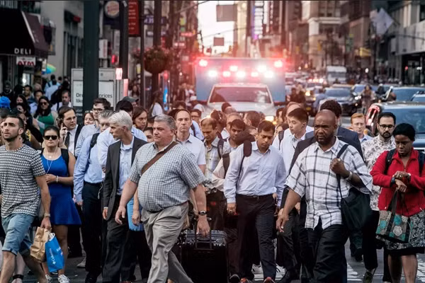 Thành phố nơi Sophia làm việc rất đông người nên khó tìm nhà thuê, giá cả lại đắt đỏ. Ảnh minh họa: Victor J. Blue for The New York Times.