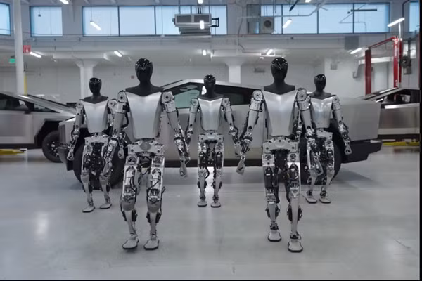 Tesla hiện có ít nhất 5 mẫu robot Optimus, có thể đi lại và bê đồ. Ảnh: Tesla.