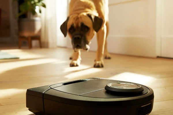 Có người kể rằng robot hút bụi của họ đã "trốn" vào chuồng của chú chó suốt mấy ngày. Ảnh minh họa: Neato.