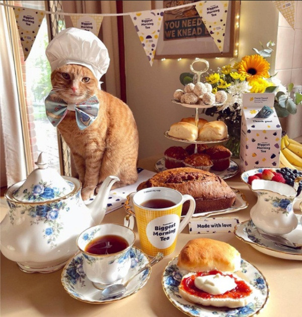 Gọi là Princess kiếm tiền nhưng cô chủ cũng rất mất công sắp đặt và chụp ảnh. Ảnh: Nicole Wade. Gọi là Princess kiếm tiền nhưng cô chủ cũng rất mất công sắp đặt và chụp ảnh. Ảnh: Nicole Wade.